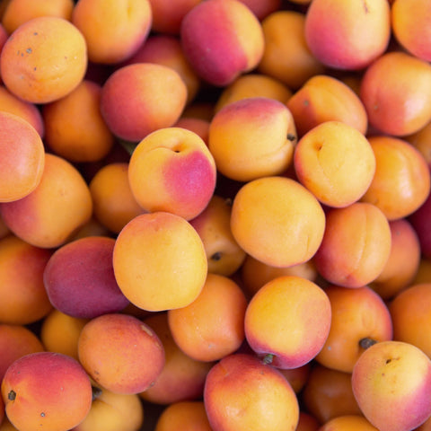 Apricots (Organic, Sun-Dried)