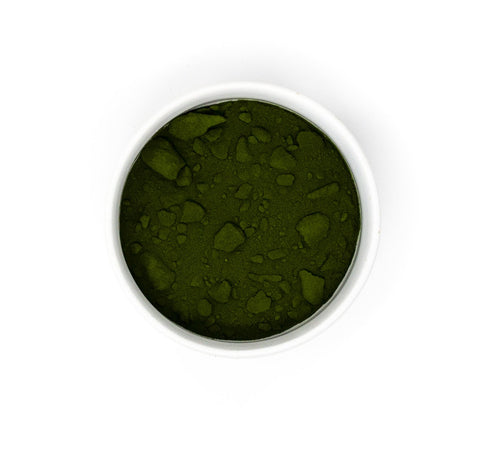 Wheatgrass Juice Powder (Organic)