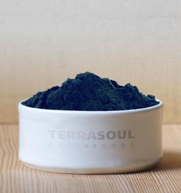 Chlorella Powder (Organic)