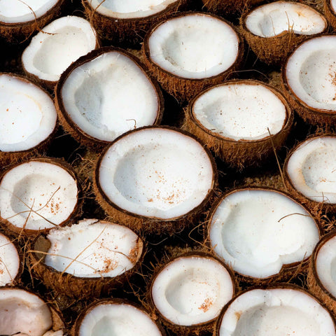 Coconut Oil (Organic, Refined)